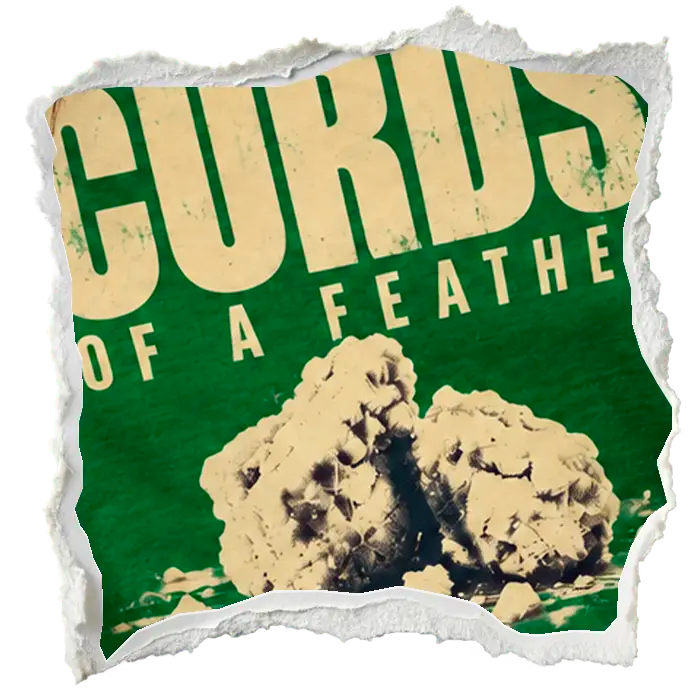 Curds of a Feather artwork detail